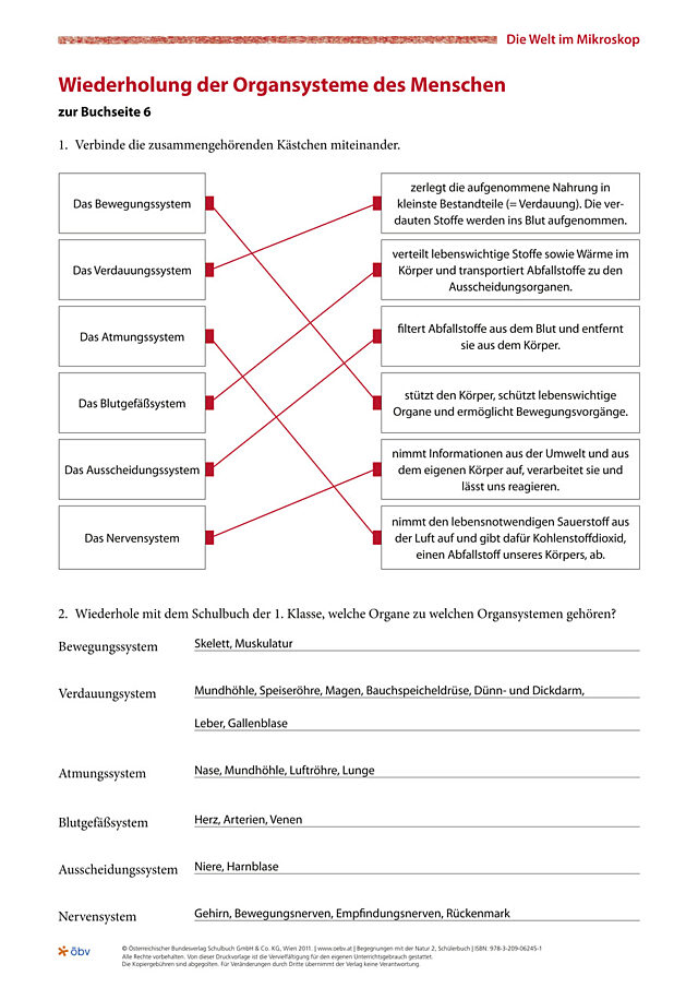 Wiederholung der Organsysteme des Menschen