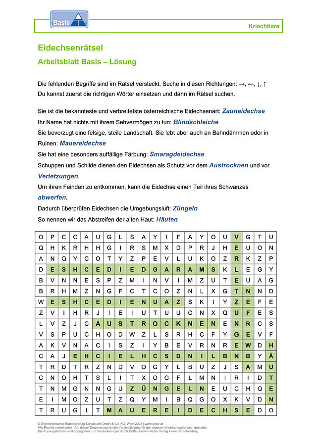 Eidechsen