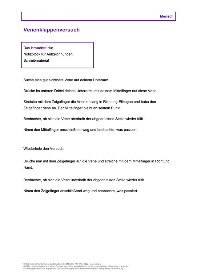 Versuchsanleitung: Venenklappenversuch