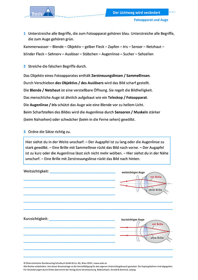 Fotoapparat, Auge