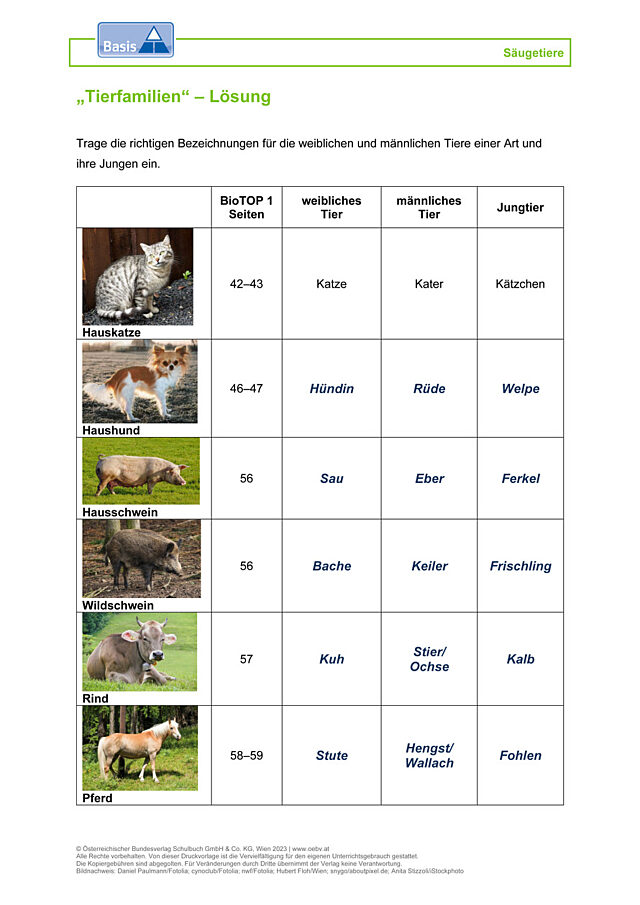 Tierfamilien