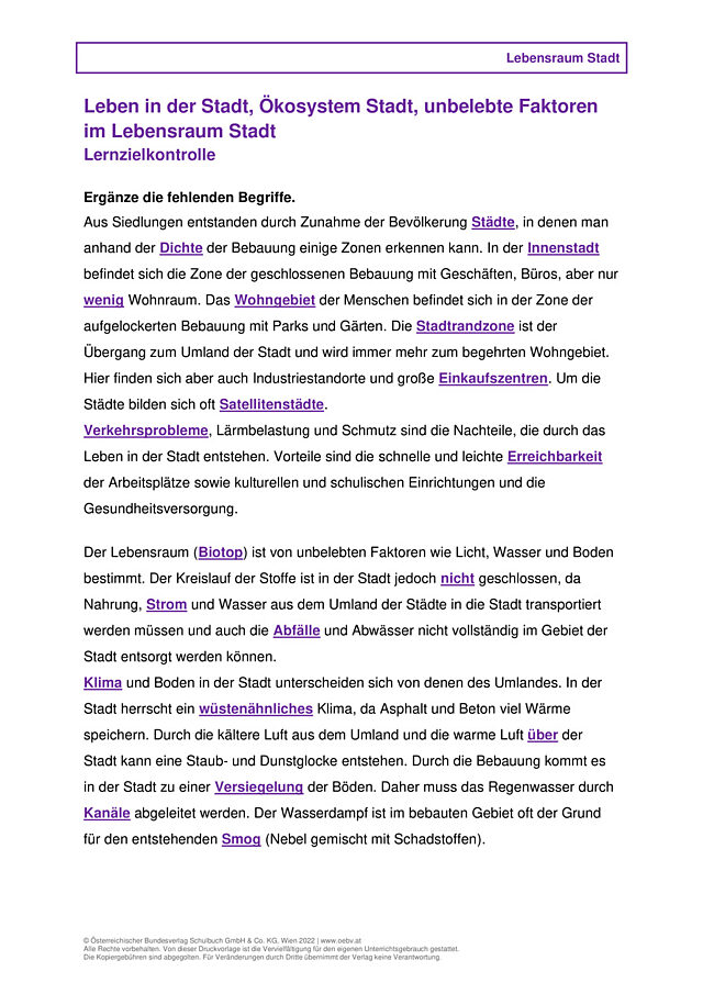 Leben in der Stadt, Ökosystem Stadt, Unbelebte Faktoren im Lebensraum Stadt