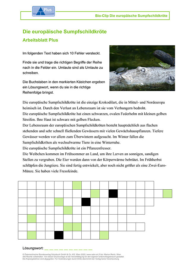 Die europäische Sumpfschildkröte