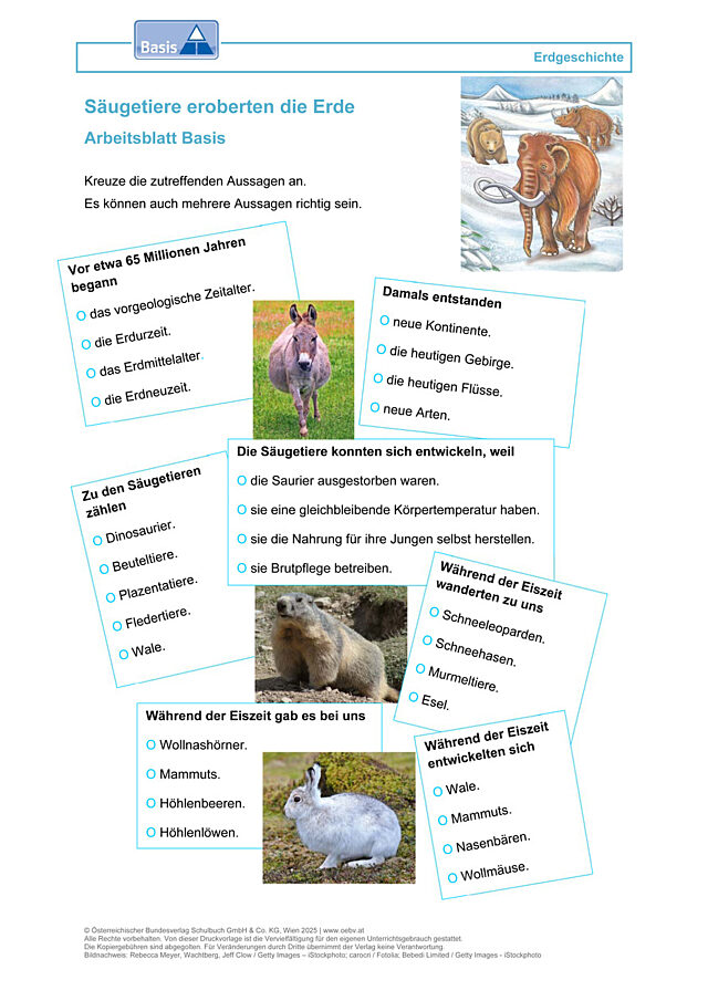 Säugetiere eroberten die Erde