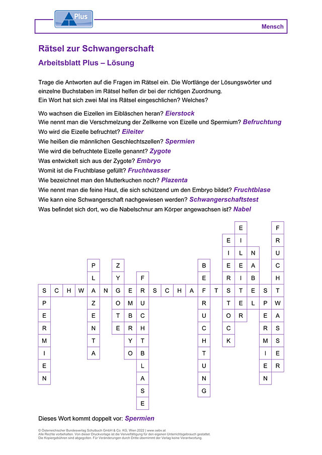 Rätsel zur Schwangerschaft