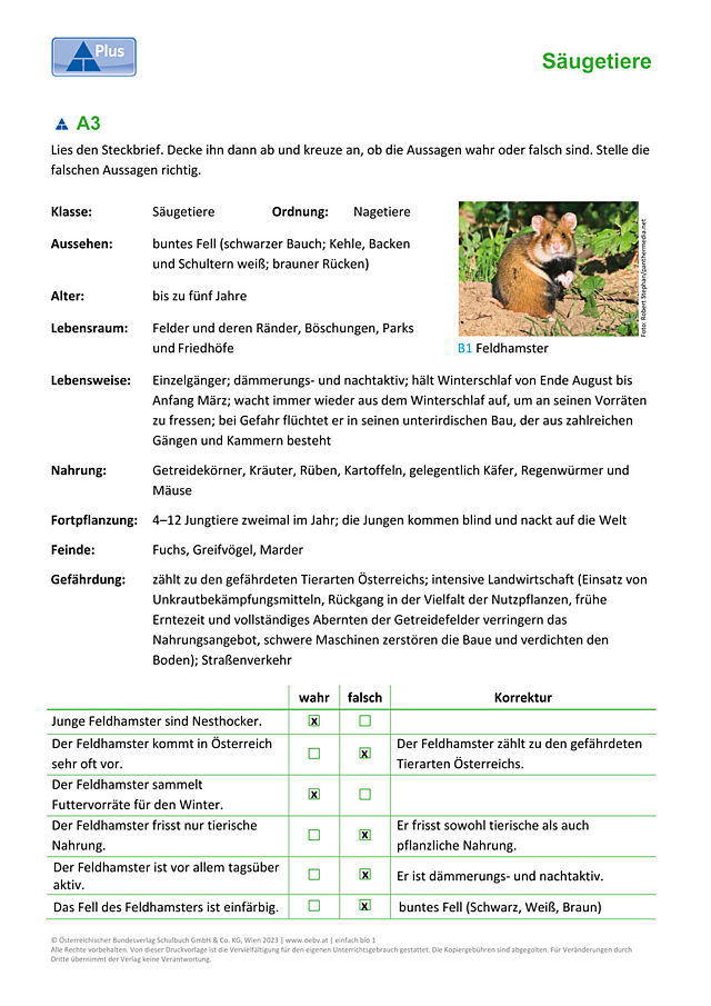 Nagetiere