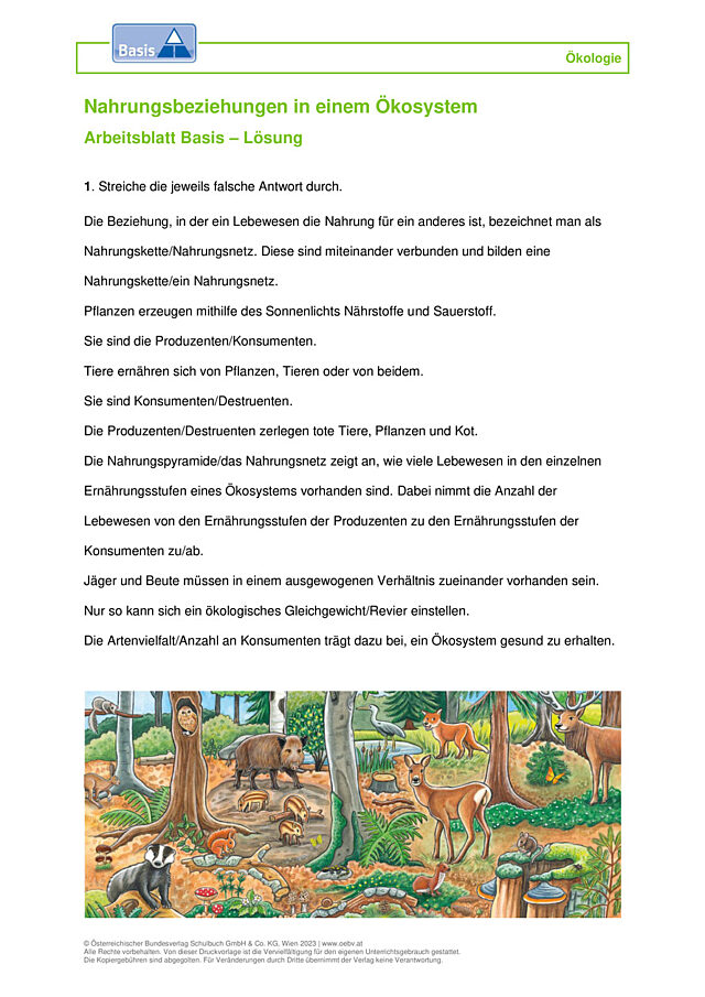 Nahrungsbeziehungen