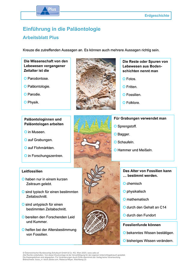 Einführung in die Paläontologie
