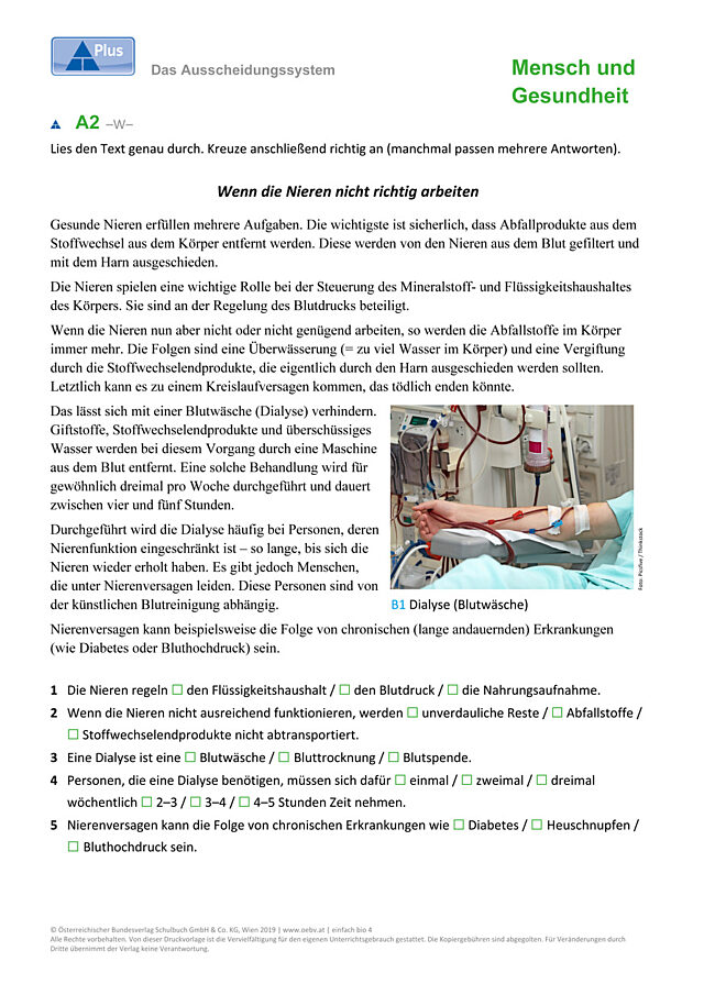 Ausscheidungssystem