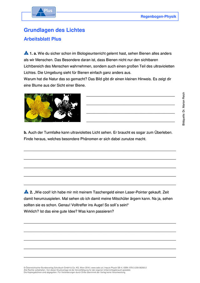 Grundlagen des Lichtes