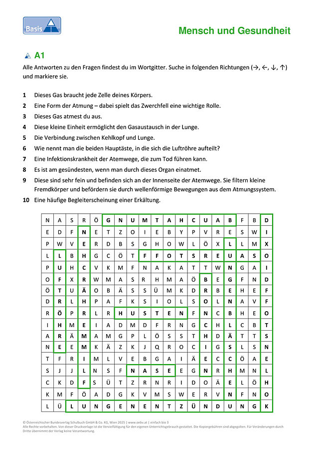 Atmung des Menschen
