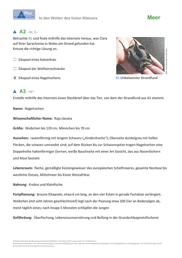 In den Weiten des freien Wassers