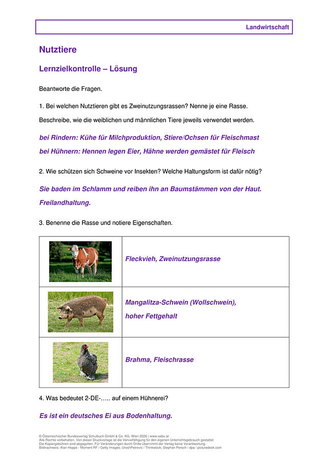 Nutztiere