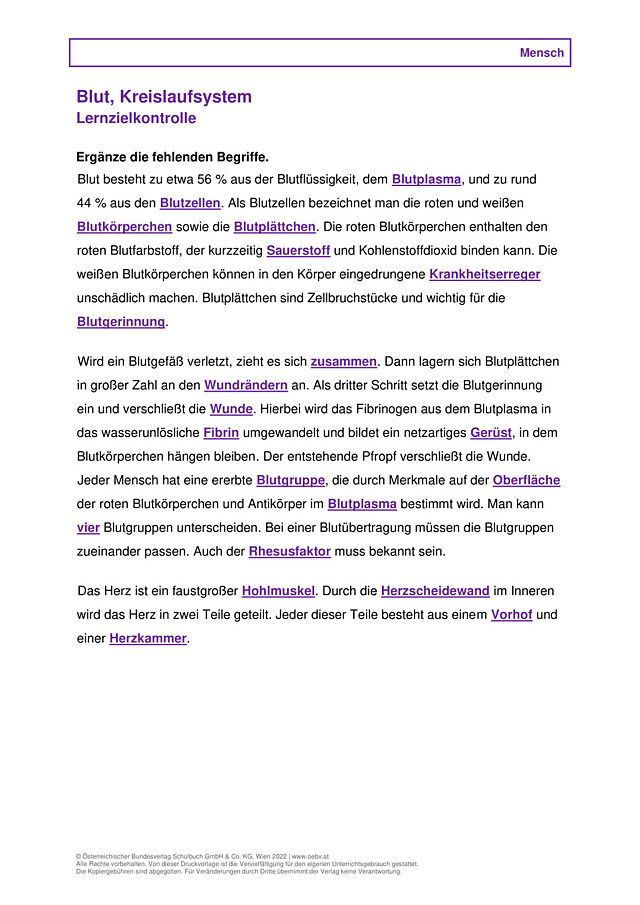 Blut, Kreislaufsystem