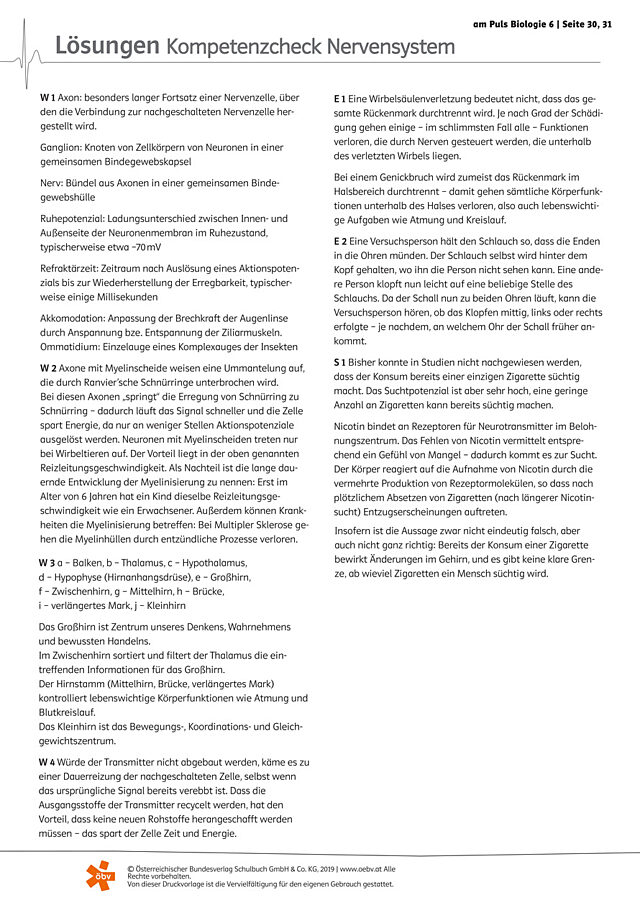 Kompetenz-Check Nervensystem