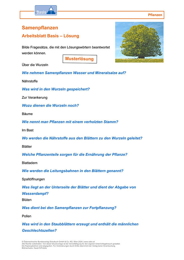 Samenpflanzen