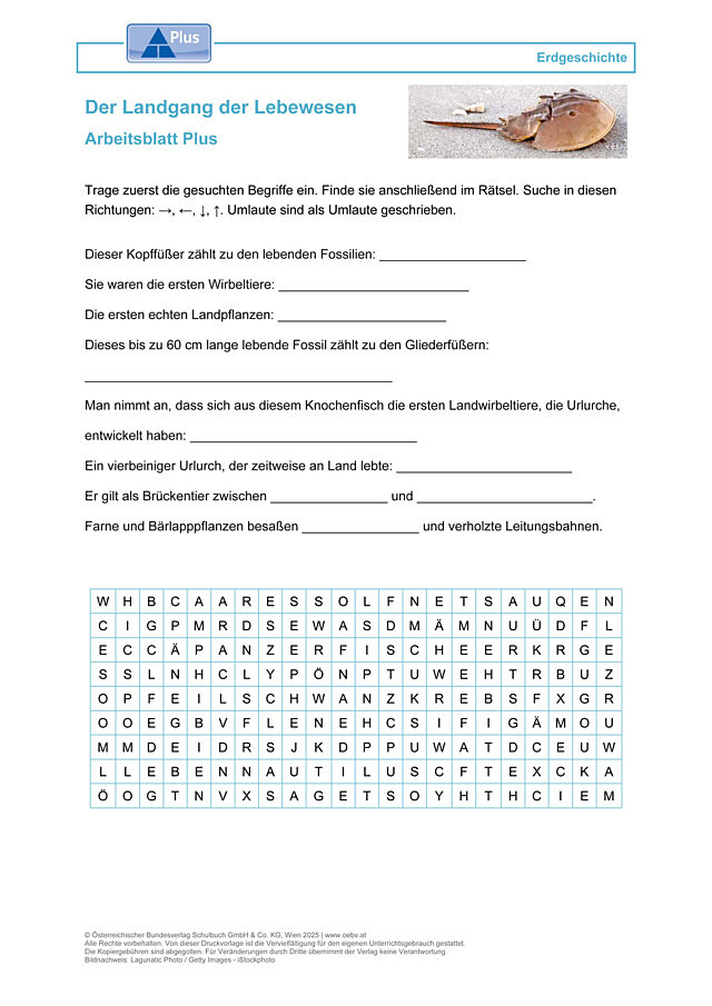 Der Landgang der Lebewesen