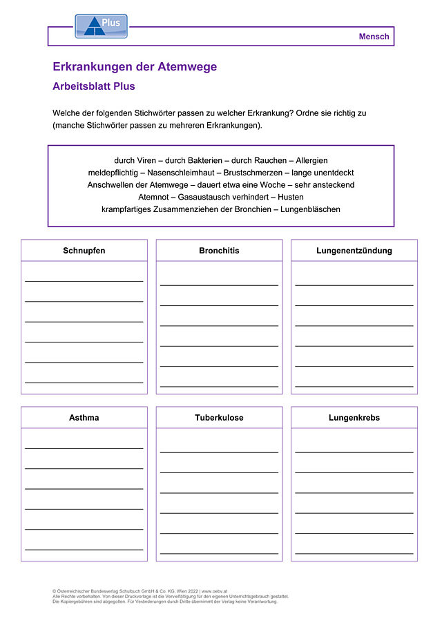 Erkrankungen der Atemwege