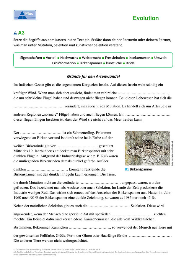 Entwicklung der Arten