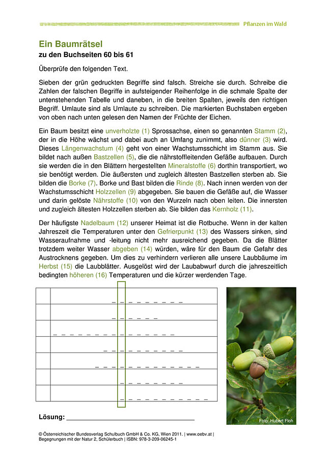 Baumrätsel