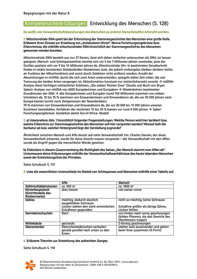Entwicklung des Menschen