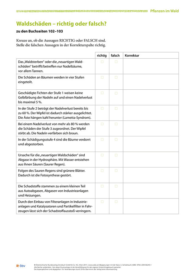 Waldschäden - richtig oder falsch?