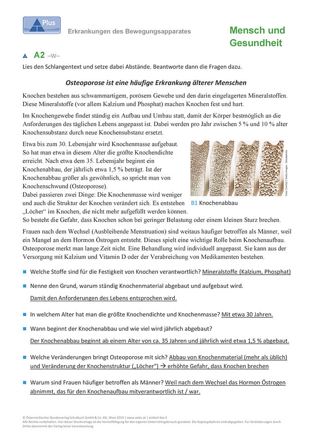Erkrankungen