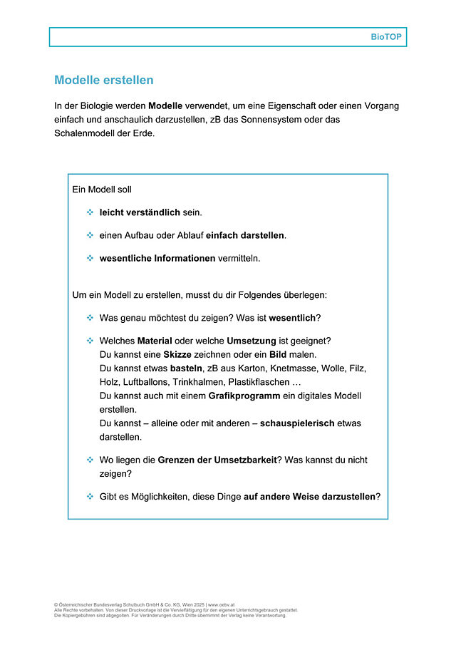 Modelle erstellen