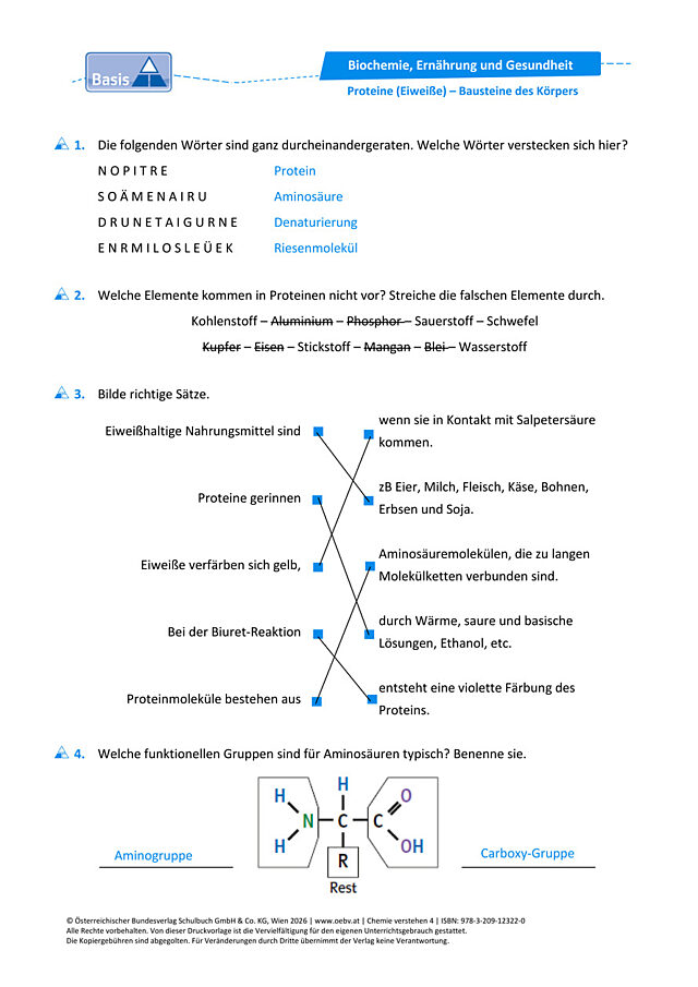 Proteine (Eiweiße) – Bausteine des Körpers