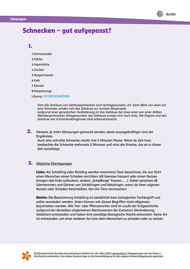 Gut aufgepasst? Lösungen - Schnecken