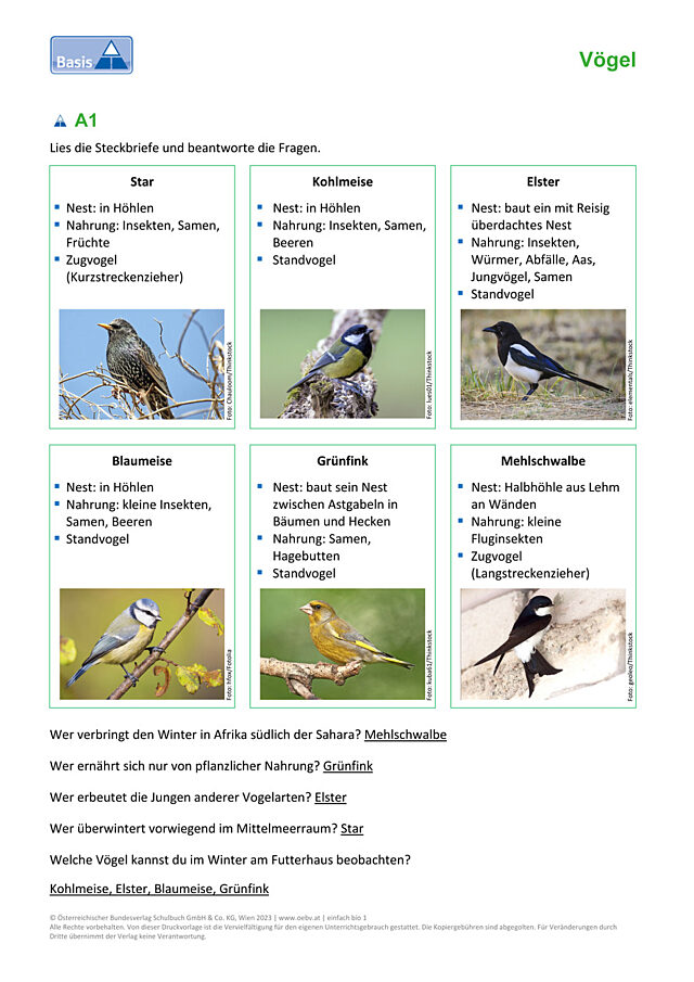 Singvögel
