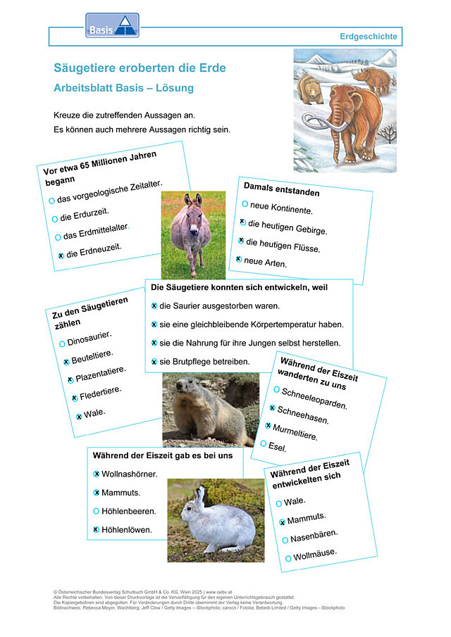 Säugetiere eroberten die Erde
