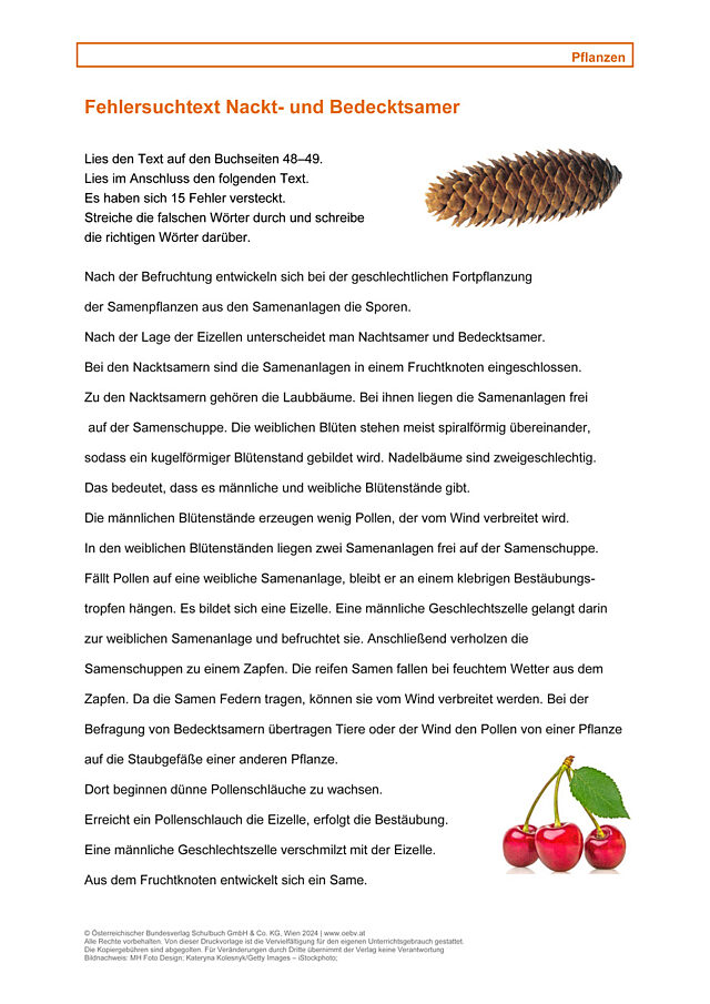 Nackt- und Bedecktsamer