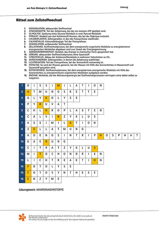 Rätsel zum Zellstoffwechsel