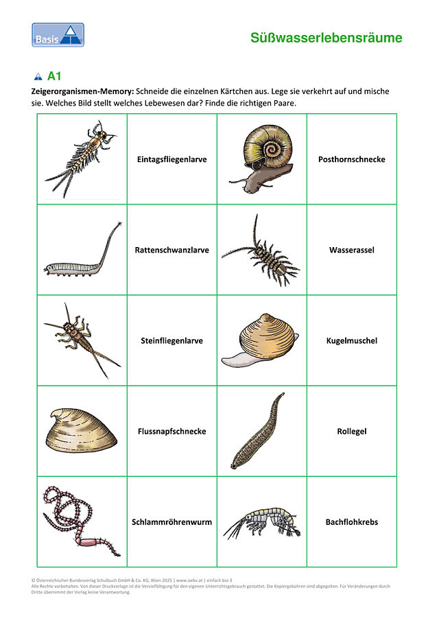 Zeigerorganismen