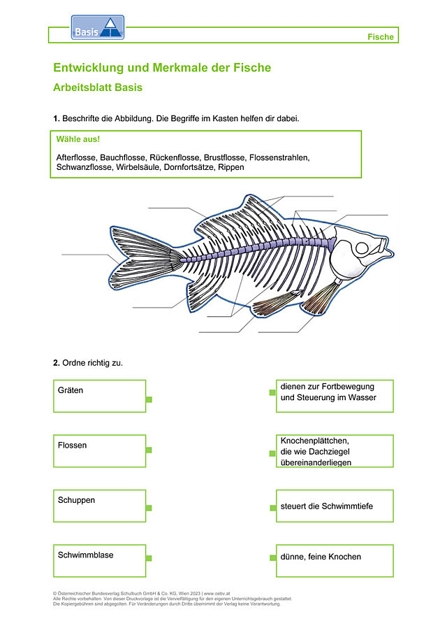 Fische
