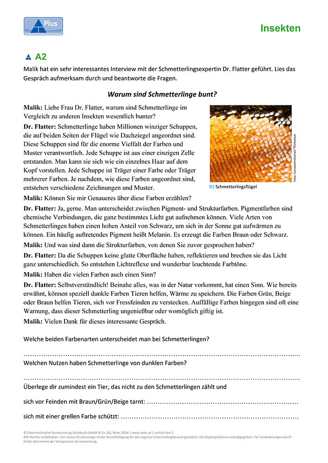 Schmetterlinge