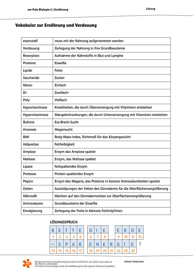Vokabular zur Ernährung und Verdauung