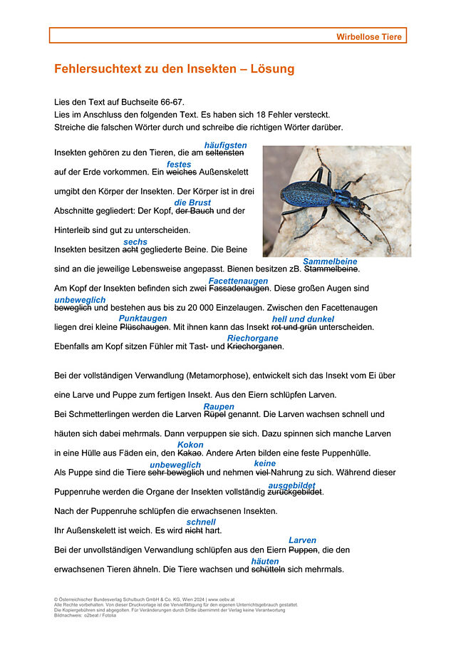 Insekten