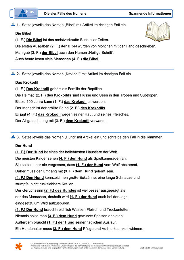 Die vier Fälle des Nomens