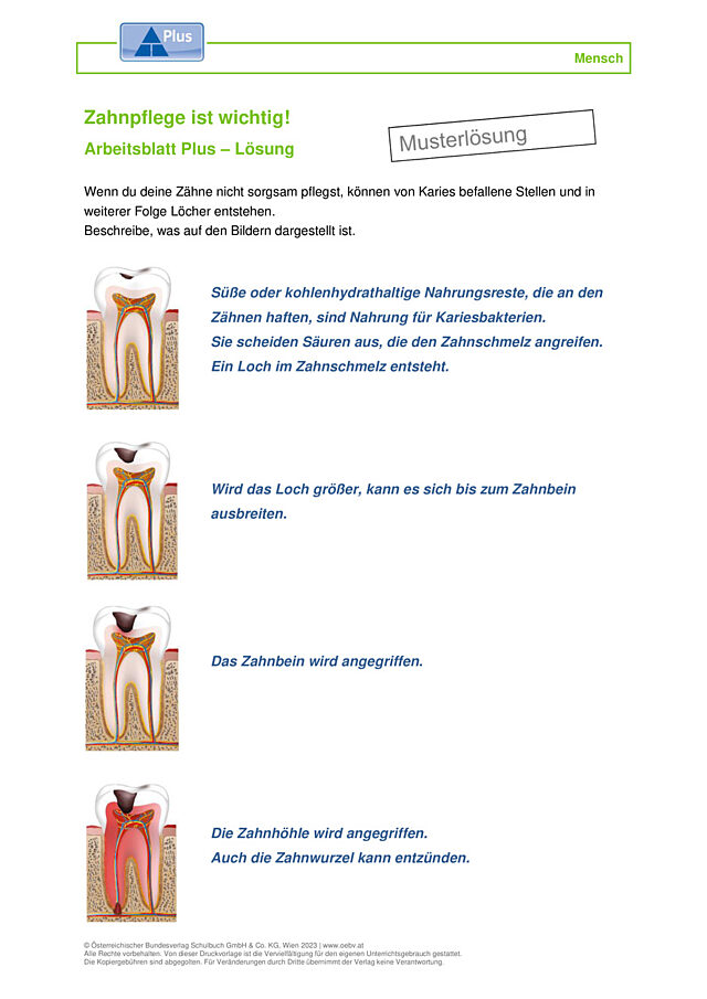 Zähne