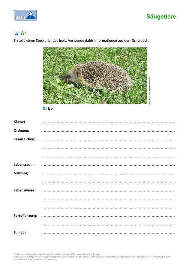 Igel