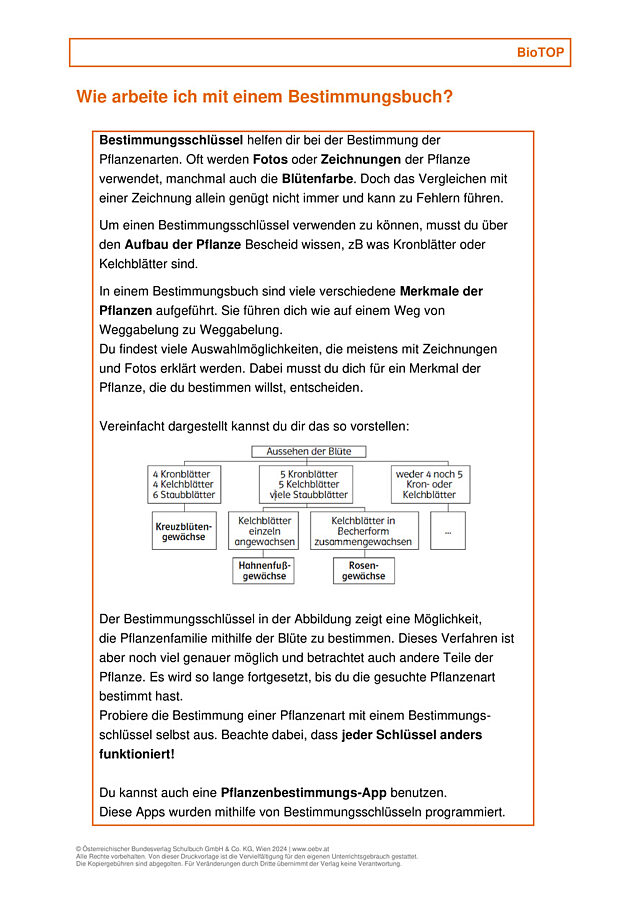 Arbeit mit Bestimmungsschlüsseln