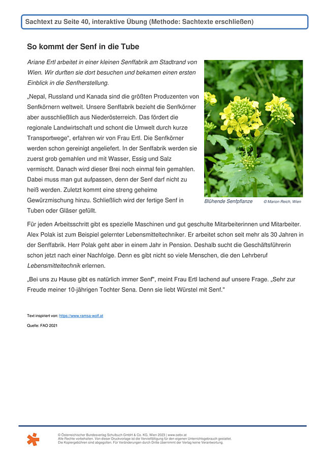 Senf-Produktion