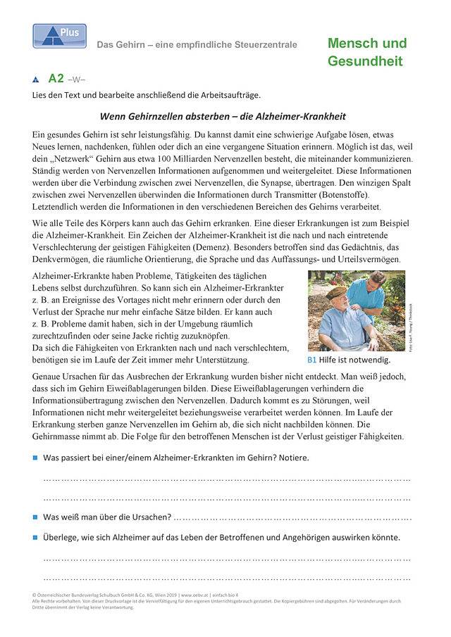 Gehirn