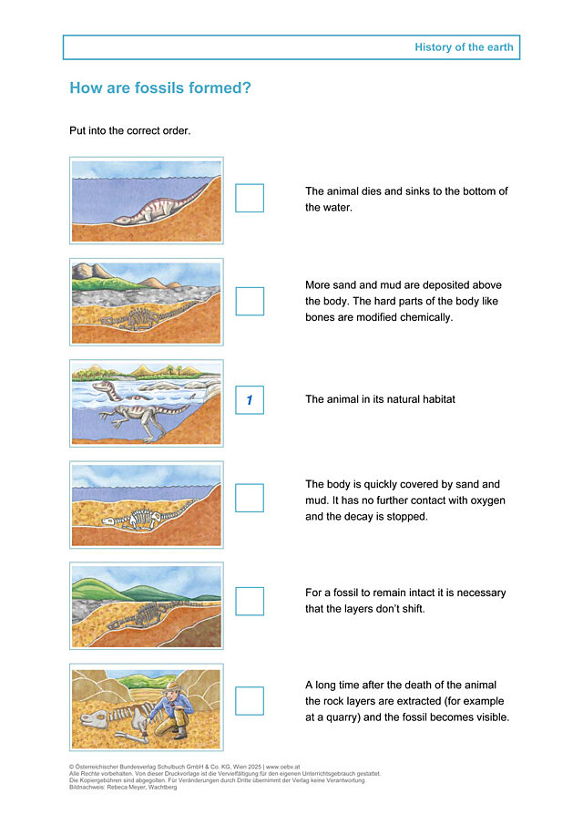 How are fossils formed?