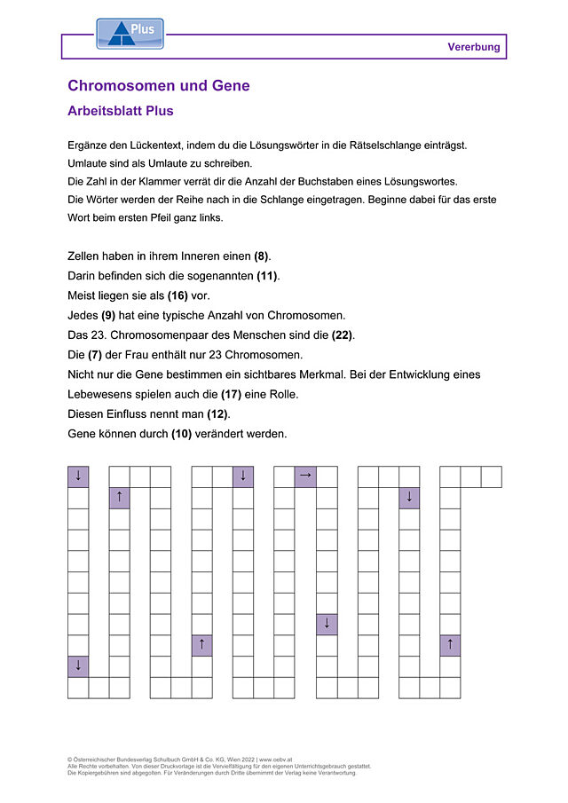 Chromosomen und Gene