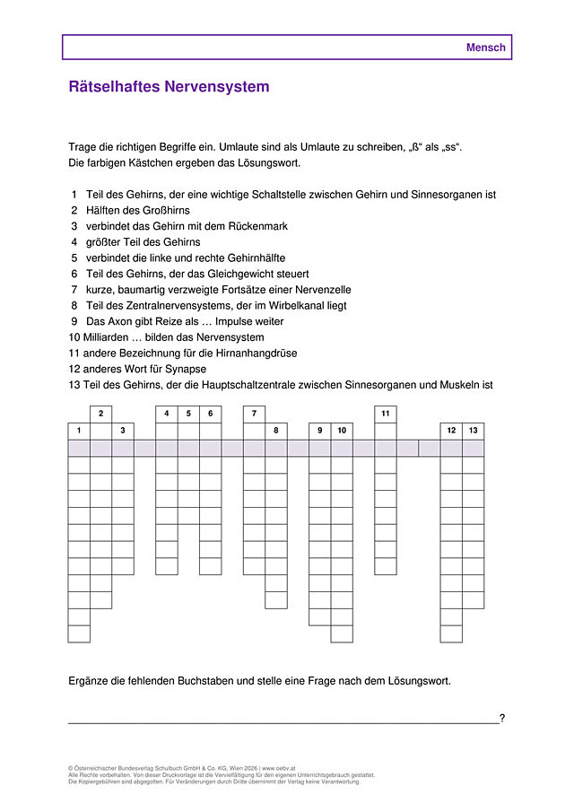 Nervensystemrätsel