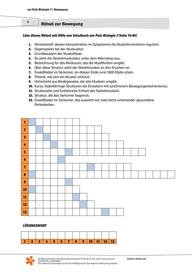 Rätsel zur Bewegung