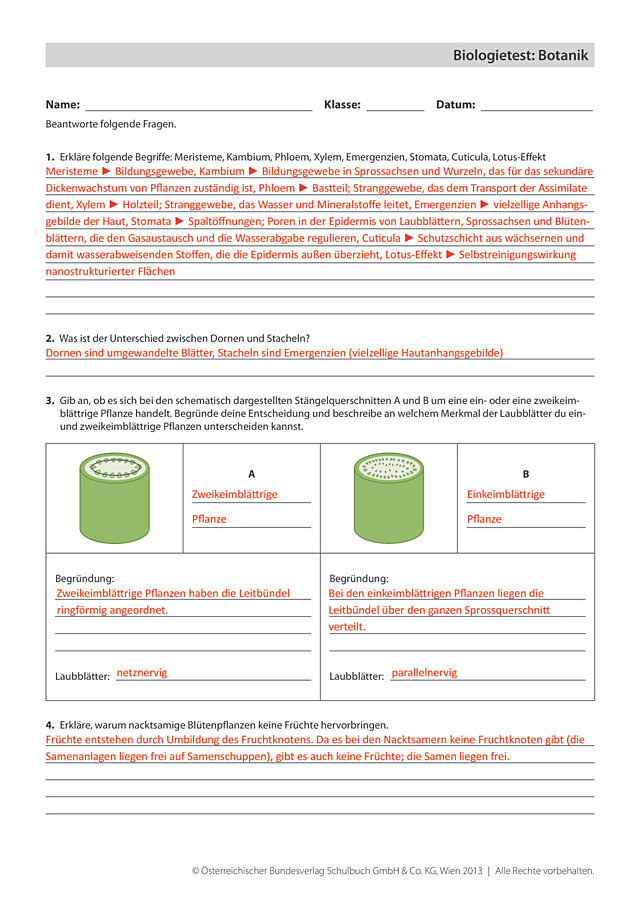 Biologietest: Botanik